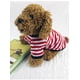 thumbnail image 2 of Xiao Hua Camiseta para perro y gato, camisetas transpirables para mascotas, sudadera para cachorro, ropa para perro, abrigos para perros pequeños, medianos y gatos, naranja, XL, 2 of 4
