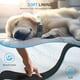 thumbnail image 5 of Collar para perro Furrigo mejorado con soporte AirTag, impermeable, azul XL, 5 of 6