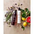 thumbnail image 2 of John Masters Organics 鈥?Daily Nourishing Shampoo | Lavender & Rosemary | USDA Organic Ingredients | Purify Scalp | Sulfate Free | Clean Haircare, 2 of 5