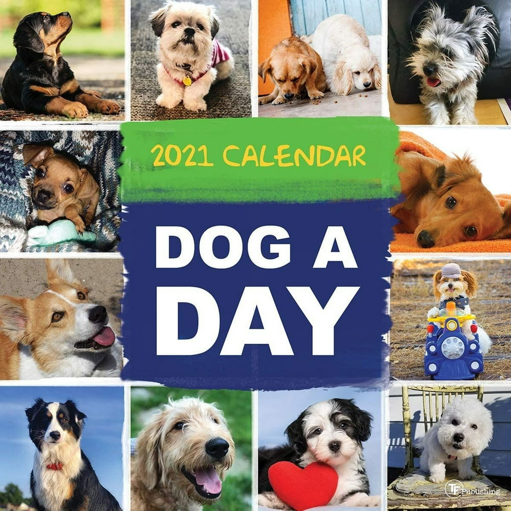 Dog A Day Calendar 2025