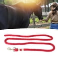 thumbnail image 1 of Lunge Line, 2m Horse Lunge Line Anti Breakage Rope Anti Slip Grip Horse Training Rope with Hook for Walking Handling, Horses Lunge Line with Anti Slip Grip for Walking Handling, 1 of 7
