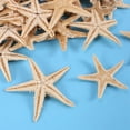 thumbnail image 2 of Little Starfish Star Sea Shell Beach Craft 0.4"-1.2" 90pcs, 2 of 5