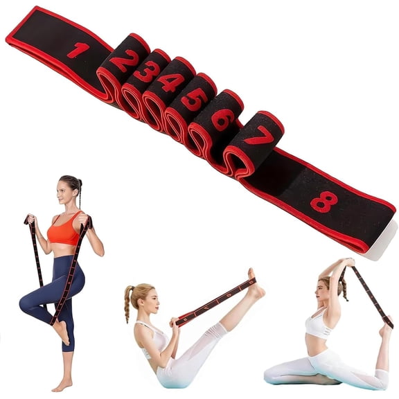 Numbered Resistance Bands for Glutes, 8-Section Fitness Band for Stretching and Yoga, Elastic Training Strap for Pilates & Full-Body Workouts