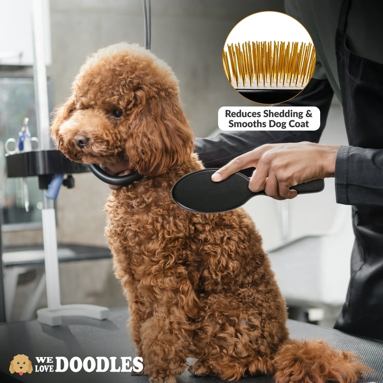 Furminator poodle clearance
