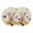 Beige, variant on Pig Sunflower Western Round 13 Inch Placemats Set of 8, Farmhouse Daisy Garden Floral HeatResistant Non Slip Place Mats for Dining Table, Wipeable Braided Kitchen Table Mats for Housewarming
