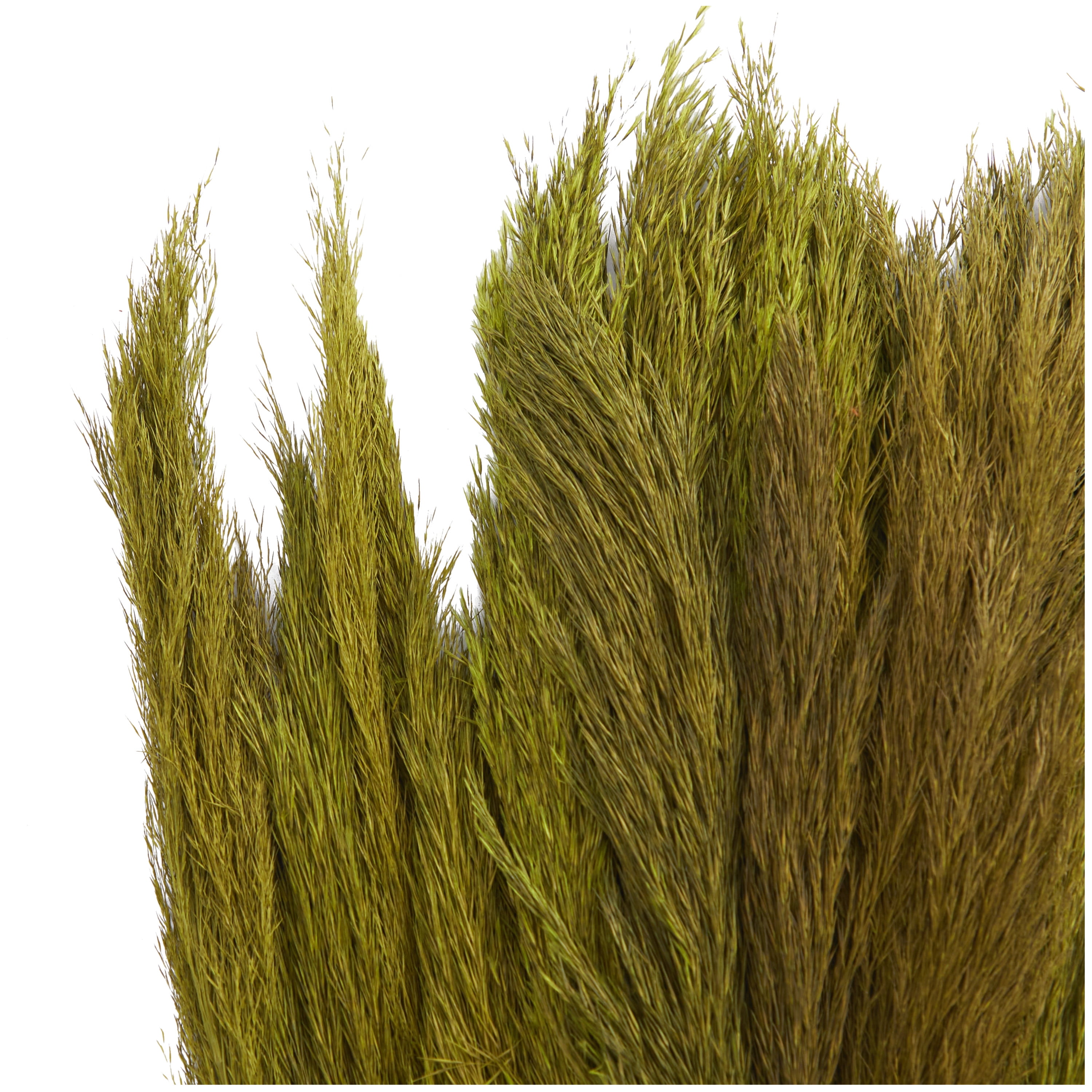 35" Dried Plant Natural Foliage Pampas Bouquet with Long Stems, by DecMode