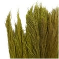 thumbnail image 4 of 35" Dried Plant Natural Foliage Pampas Bouquet with Long Stems, by DecMode, 4 of 7