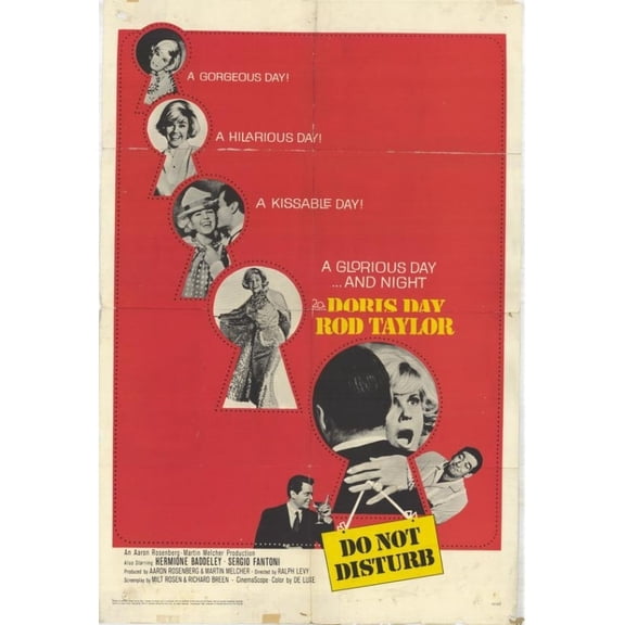 Posterazzi MOVGH3721 Do Not Disturb Movie Poster - 27 x 40 in.