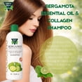 thumbnail image 3 of Green Royalty Bergamota-Collagen Shampoo with Bergamota, 33.8 oz, 3 Piece, 3 of 7