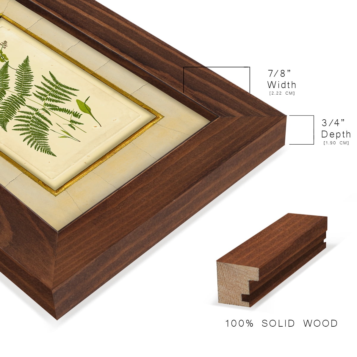 Fern with Crackle Mat (H) IV - Framed Print w/glass - Chestnut