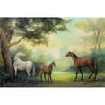 thumbnail image 3 of Purinton, Julia 18x13 Black Modern Framed Museum Art Print Titled - Near the Pasture, 3 of 5
