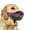 Purple, variant on Breathable Dog Muzzle Mouth Cover With Secure Strap Design For Safe Walking Training And Travel Dog Accessory