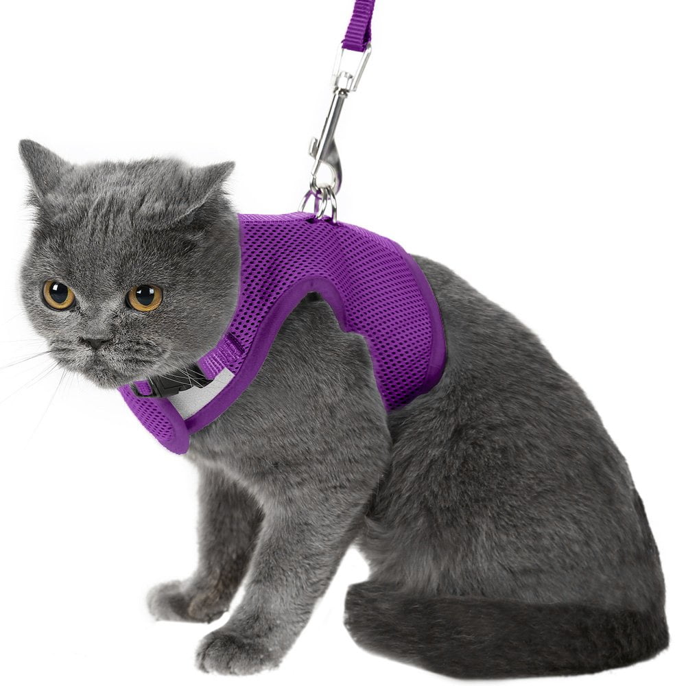 PUPTECK Cat Harness Checkered Frills Soft Mesh cat Vest Harness Puppy