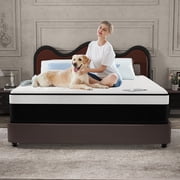 CICIMLU 12 inch Queen Mattress,Medium Comfort Queen Size for Adult Hybrid Mattress in a Box