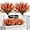 Salmon, variant on Zukuco 8 Bundles Artificial Fall Flowers Plants Outdoors, Faux Plastic Shrubs Fake Greenery UV Resistant for Garden Patio Decor Window Box Office Hanging Planter Pathway Front Porch