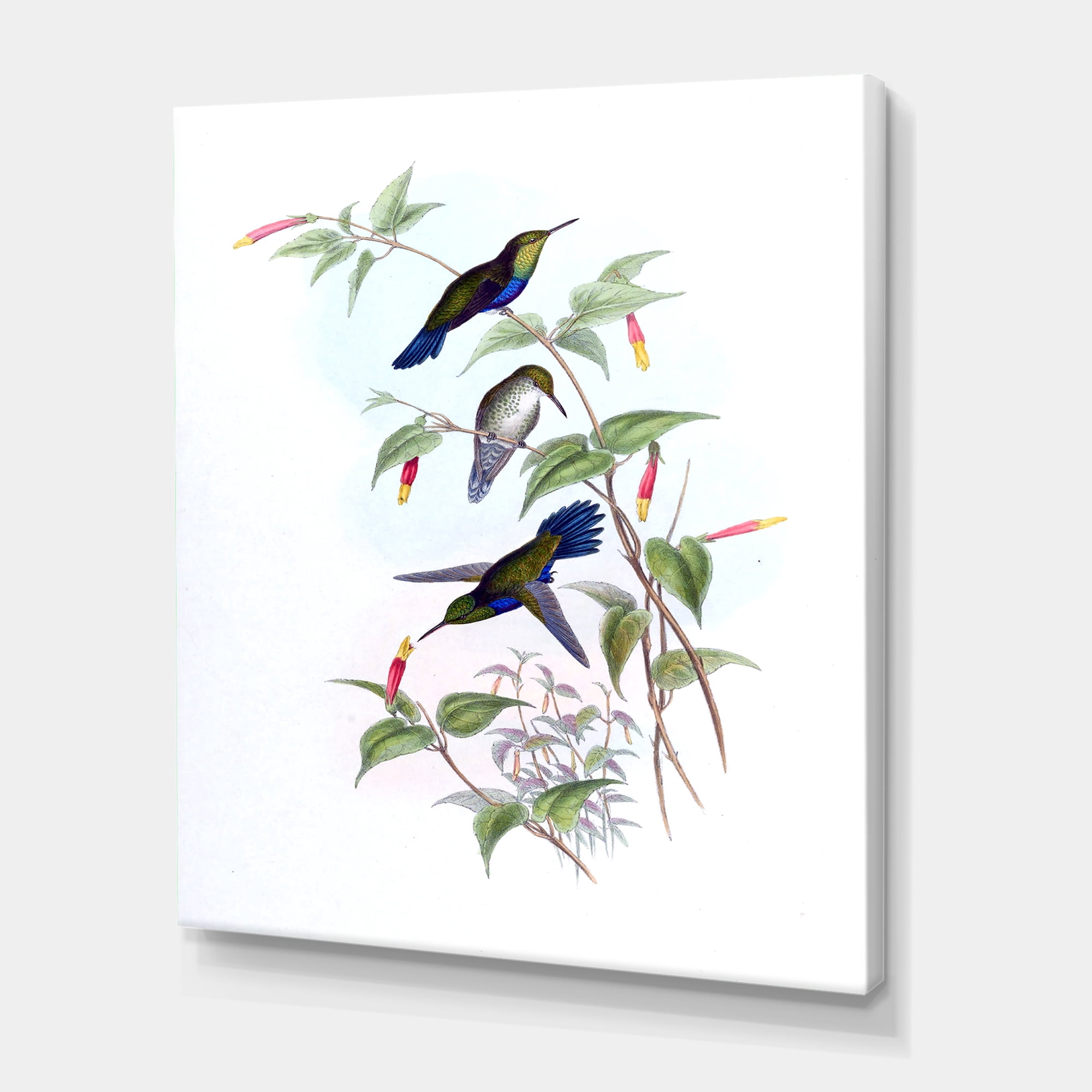 Designart ' Ancient Hummingbird I ' Traditional Canvas Wall Art Print