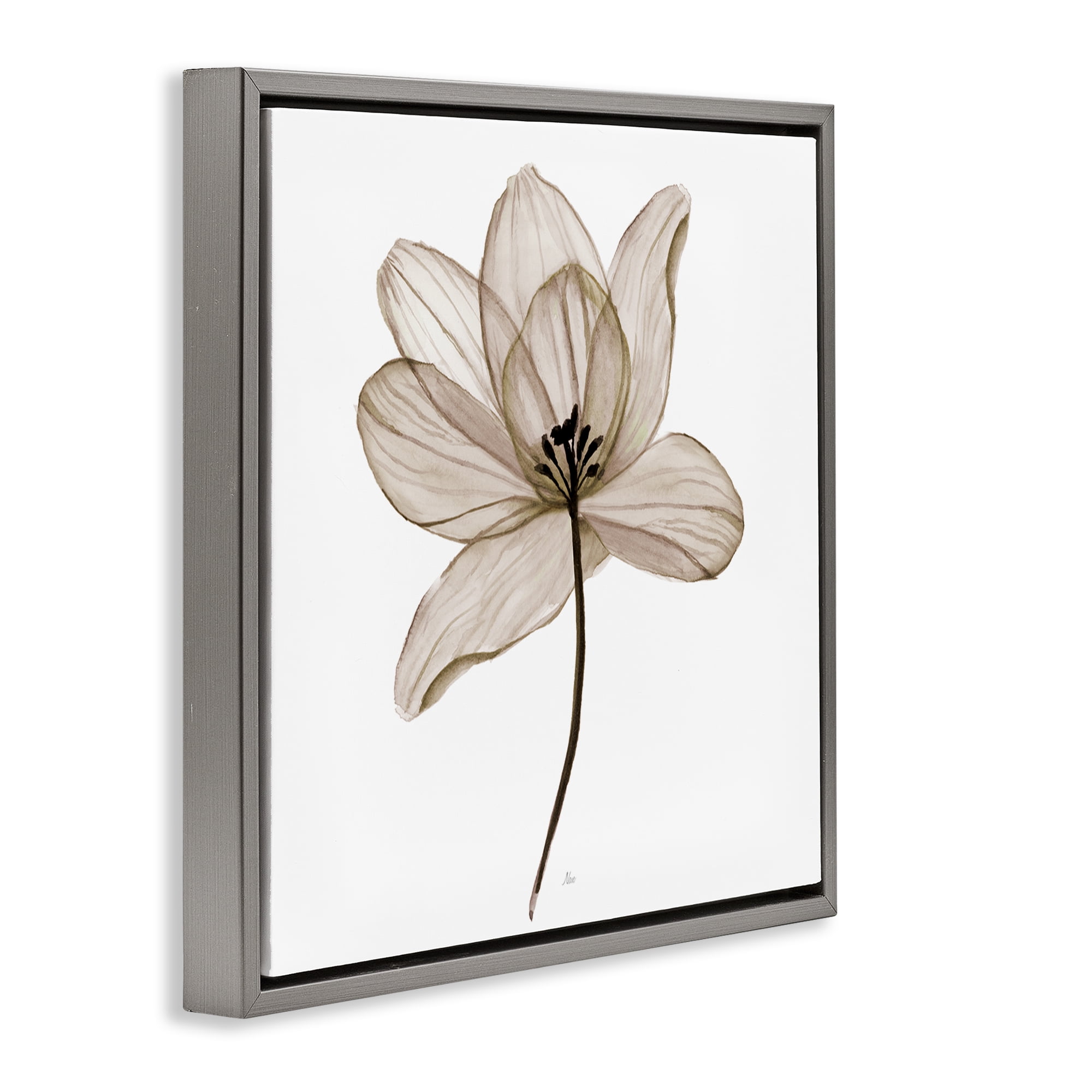Stupell Industries Beige Opaque Flower Plants & Flowers Painting Gray Floater Framed Canvas Art Print Wall Art, 25 x 25