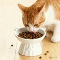 thumbnail image 1 of Cuenco elevado para alimento para mascotas, plato cerámico de alimentación con amplia abertura, cuenco elevado con diseño inclinado, 13 x 12 x 11,5 cm para gatos y animales pequeños, 1 of 6