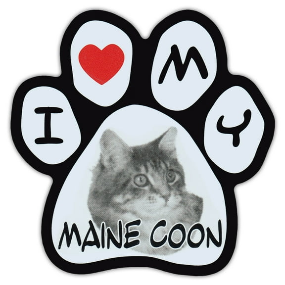 Picture Cat Paw Shaped Car Magnet - Maine Coon - Magnetic Bumper Sticker