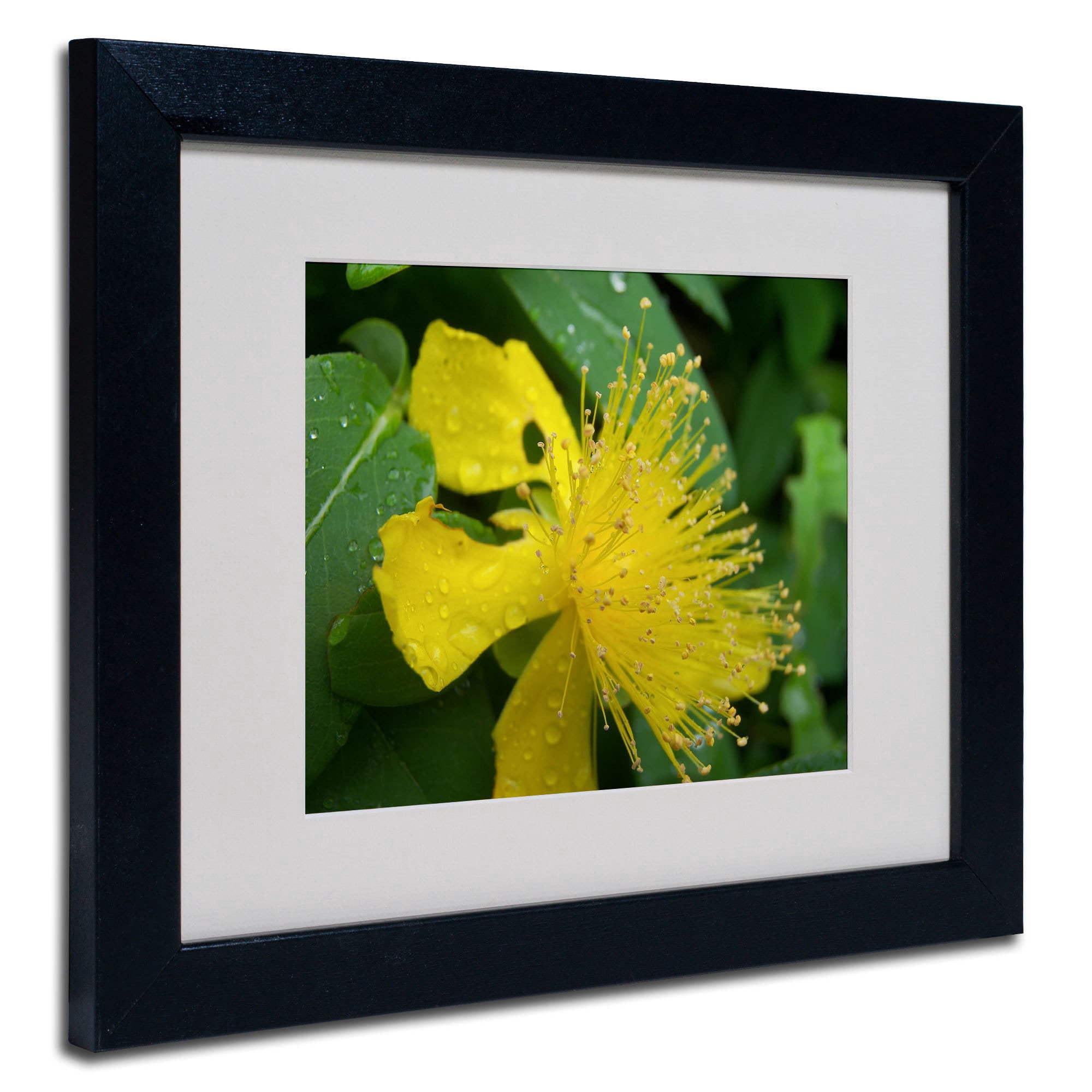 Trademark Fine Art "Mana" Canvas Art by Monica Fleet, White Matte, Wood Frame