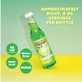 thumbnail image 2 of Slushie Syrups - Margarita Slushie Mix by Hawaiian Shaved Ice – Perfect for Slushies, 12 oz Bottle, Mix with water, lemonade, juice and more, 2 of 8