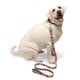 thumbnail image 3 of Collar para perro Seawoof, collar para perro mediano para ni, 3 of 3