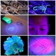 thumbnail image 3 of Small UV Blacklight Flashlight, Portable Black Light 395nm, Ultraviolet Light for Invisible Ink Pens, Dog Cat Pet Urine Stain, AAA Batteries not Included(2 pcs), 3 of 11