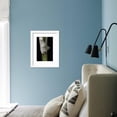 thumbnail image 6 of Bambusa Multiplex Alphonse Karr Bamboo  Shoot, Botanical Framed Art Print Wall Art by Paul Starosta Sold by Art.Com, 6 of 6