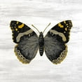 thumbnail image 2 of Kimberly, Allen 26x26 Black Ornate Wood Framed with Double Matting Museum Art Print Titled - Wildflower Jar 13, 2 of 4