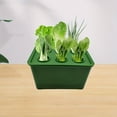 thumbnail image 4 of Hydroponic Growing Box For Indoor Gardening And Vegetables Polypropylene Construction, 4 of 9
