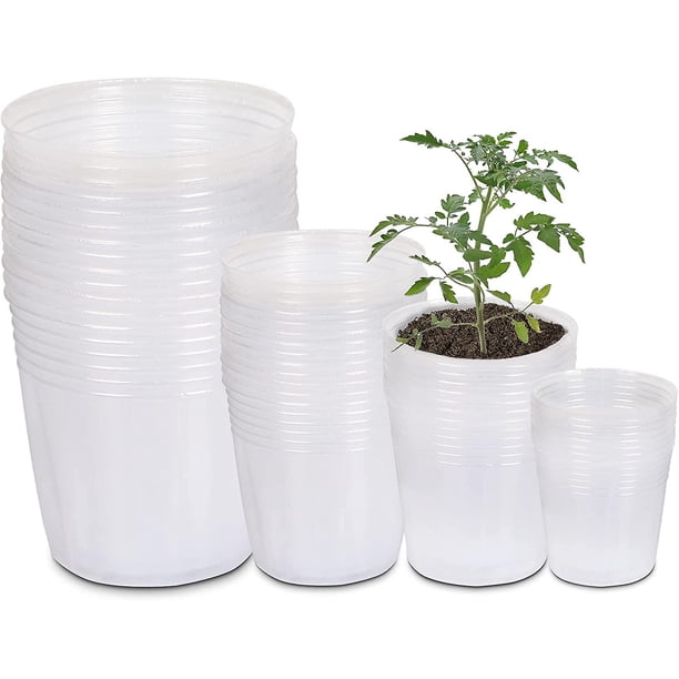 40 Paquetes Macetas Transparentes YONGSHENG 3 4 5 6 Pulgadas