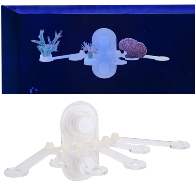 Soporte de coral, pecera, acuario, coral, soporte de coral acrílico, soporte de coral acrílico, estándares líderes en la industria