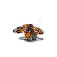 thumbnail image 5 of LEGO NINJAGO Spinjitzu Cole 70662 Building Kit (117 Piece), 5 of 5