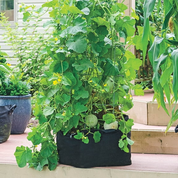 Gardens Alive Patio and Deck 20 gal Grow Tub with Non-Woven Geotextile Material