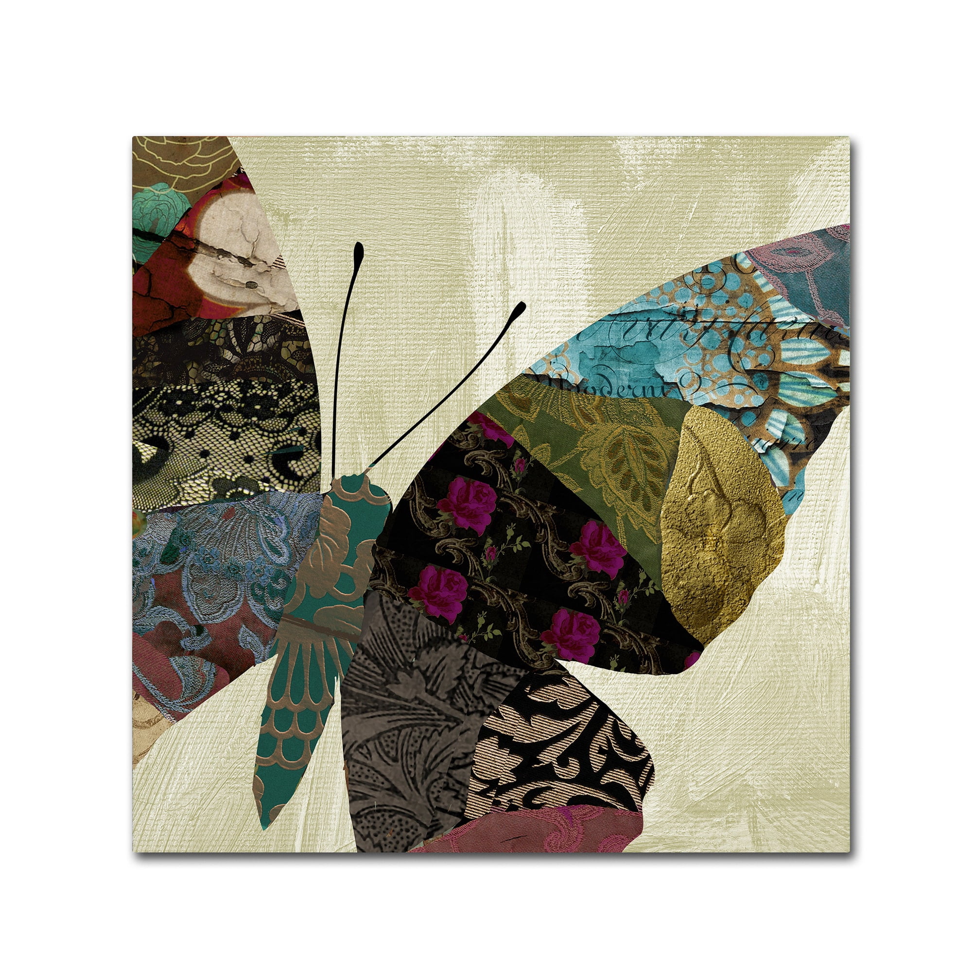 Trademark Fine Art "Butterfly Brocade IV" Canvas Art by Color Bakery