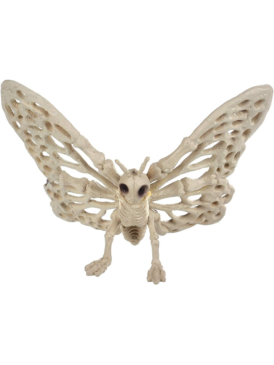 SeasonsUSA Small Butterfly Skeleton Decoration