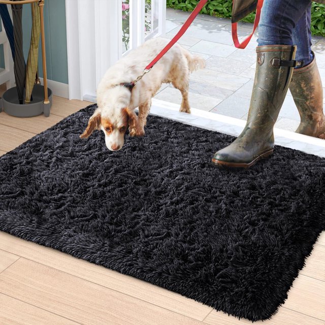 WSHS Non-Slip Large Indoor Entrance Door Mat - Washable Dirt Trapper Shaggy Rug