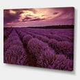 thumbnail image 3 of Designart Sunrise & Dramatic Clouds Over Lavender Field III Canvas Wall Art, 3 of 4