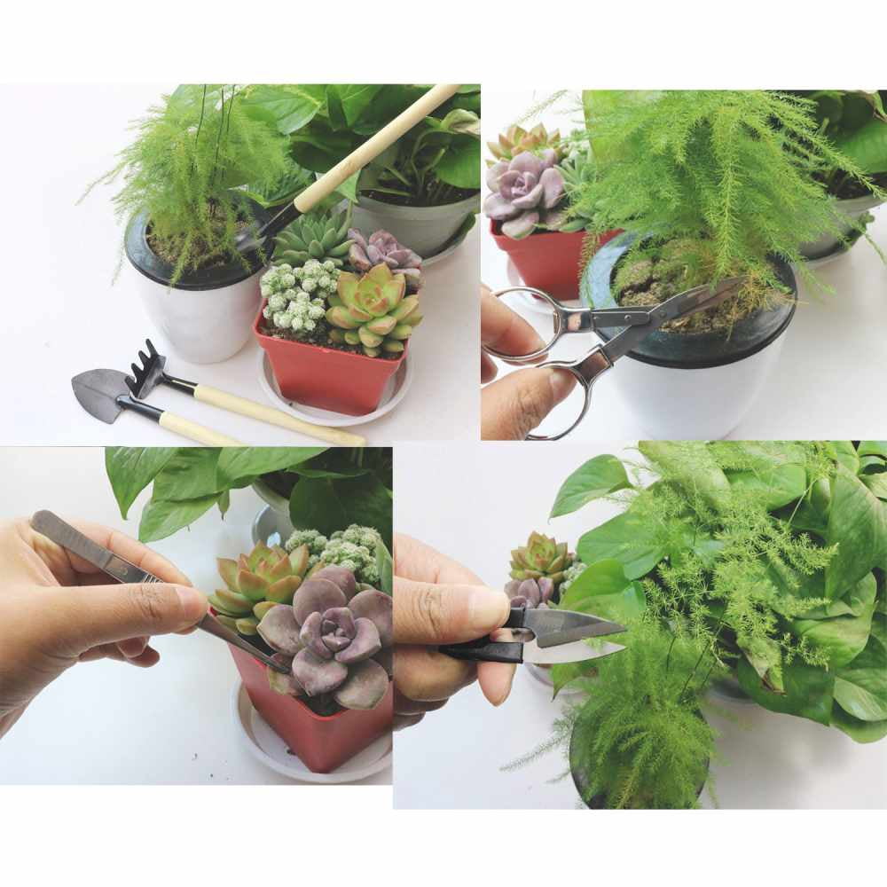 9 Pcs Bonsai Tools With Soil Moisture Meter, 3-In-1 Moisture Sensor/Sunlight/Ph, Include Pruner, Folding Scissors, Mini Rake, Bud & Leaf Trimmer Set