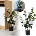 thumbnail image 1 of BotaniNest “Realistic Camellia Simulation Stunning For Home Décor Weddings And Events”, 1 of 6