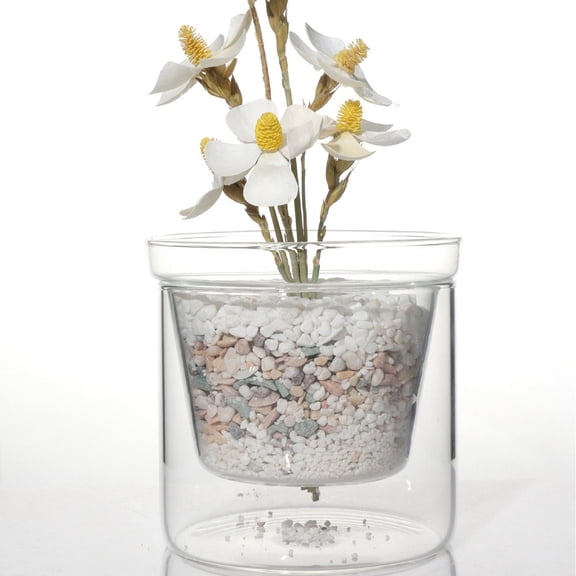 Clear Flower Pot – Decorative Hydroponic Planter for Indoor Plants, Modern Transplant Potting Container for Home, Apartment, Office, Living Room, Balcony(RL 1 PC)