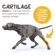 maxxiflex+ Hip & Joint Supplement for Dogs with Glucosamine, Chondroitin, MSM & Collagen | Mobility, Flexibility & Discomfort Support | Senior, Adult & All Breeds | 120 Tablets
