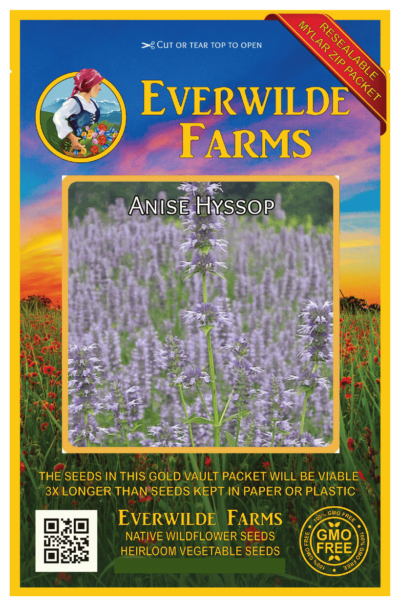 Wildflower Daisy Seeds | Bulk Perennial Daisy Seeds for Sale Wildflower Daisy Seeds | Bulk Perennial Daisy Seeds for Sale
