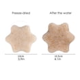 thumbnail image 2 of Walnut Powder Natural Konjac Facial Exfoliating Sponge Cleansing Puff, Skincare Lotion, 2 of 2