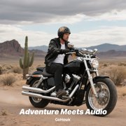 GoHawk TN4-R 4 Waterproof Motorcycle Bluetooth Speakers Stereo Amplifier Audio System Harley Touring Cruiser ATV 4-Wheeler FM Radio Chrome