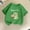 Green6, variant on Crunowin Boys and Girls Short Sleeve T-Shirt Round Neck Dinosaur Print Summer Casual Playtime Comfort Top Black Size 4/6