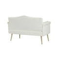 thumbnail image 4 of Modern 2 Seater Velvet Sofa, Button Tufted Small Couch Loveseat with Nailhead Trim and Pillows for Living Room Bedroom Apartment, 4 of 9
