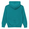thumbnail image 3 of Preschool Outerstuff  Aqua Miami Dolphins Back to Basics Hoodie, 3 of 3