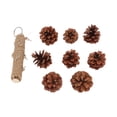 thumbnail image 2 of Juguete de Cono de Pino ANGGREK para Loros Juguete Colgante Resistente A Mordeduras, 2 of 8