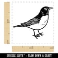 thumbnail image 2 of Delightful American Robin Bird Self-Inking Rubber Stamp Ink Stamper - Green Ink - Small 1 Inch, 2 of 7